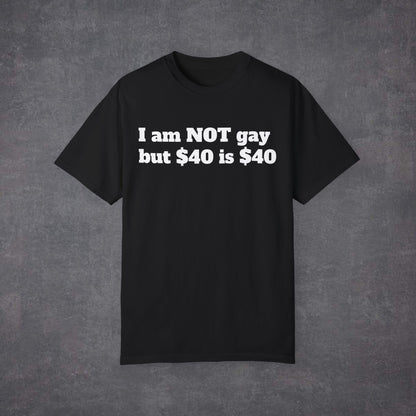 I am not GAY but $40 is $40 UNISEX T-Shirt