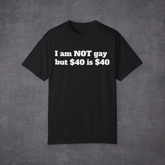 I am not GAY but $40 is $40 UNISEX T-Shirt